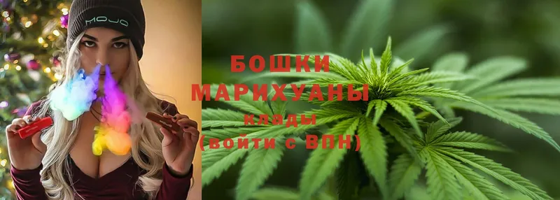 Шишки марихуана OG Kush  Алзамай 